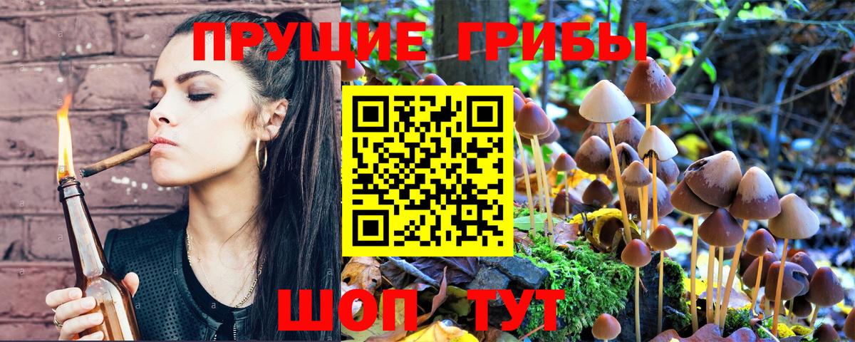 Псилоцибиновые грибы GOLDEN TEACHER  Вход с VPN  Воркута 